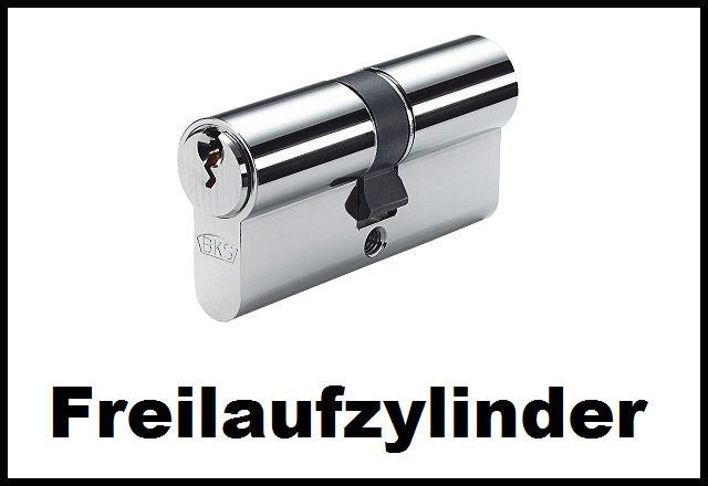 Freilaufzylinder