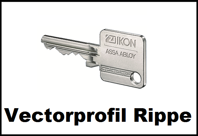 IKON Vectorprofil Rippe
