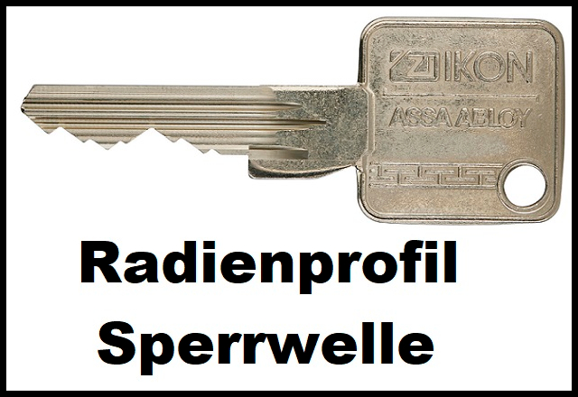 IKON SK6 Radienprofil Sperrwelle