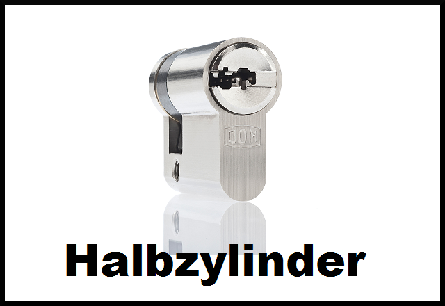 DOM Halbzylinder