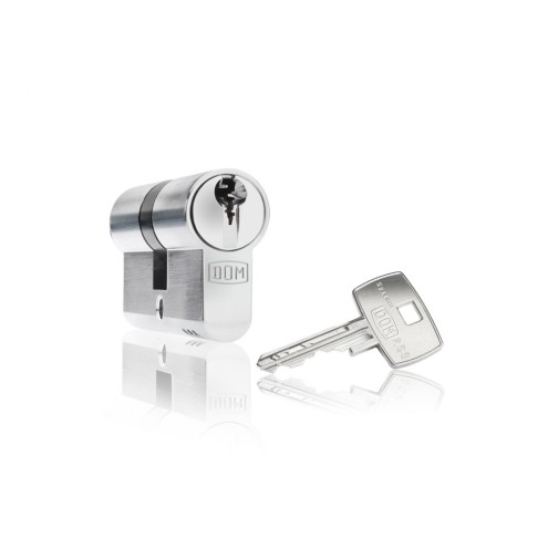 Schließzylinder DOM RS 8