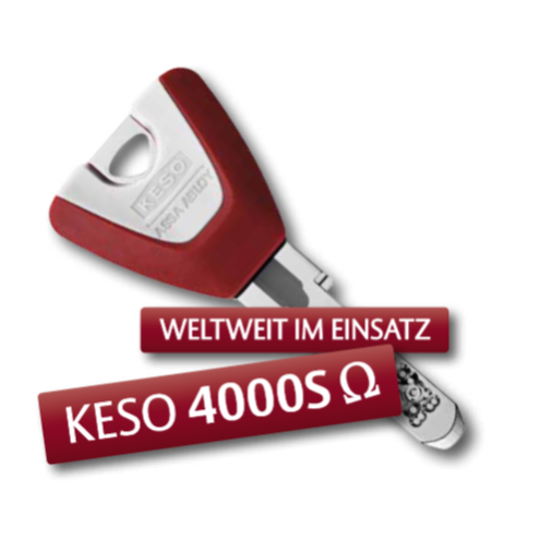 Außenzylinder KESO 8000 Omega² exzentrisch für diverse Kastenschlösser  82.010 - Brodrecht  GbR